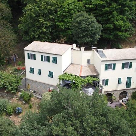 Neirone Villa Maia מראה חיצוני תמונה