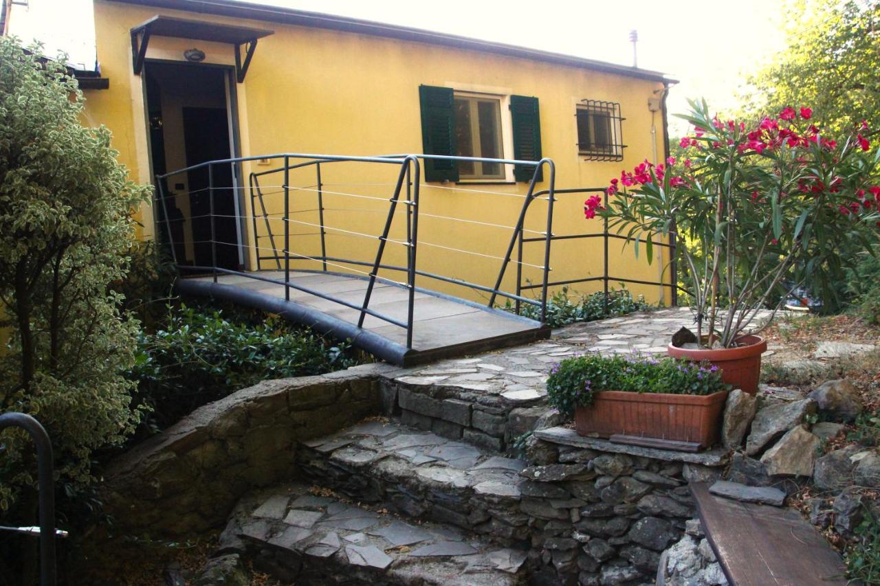 Neirone Villa Maia מראה חיצוני תמונה
