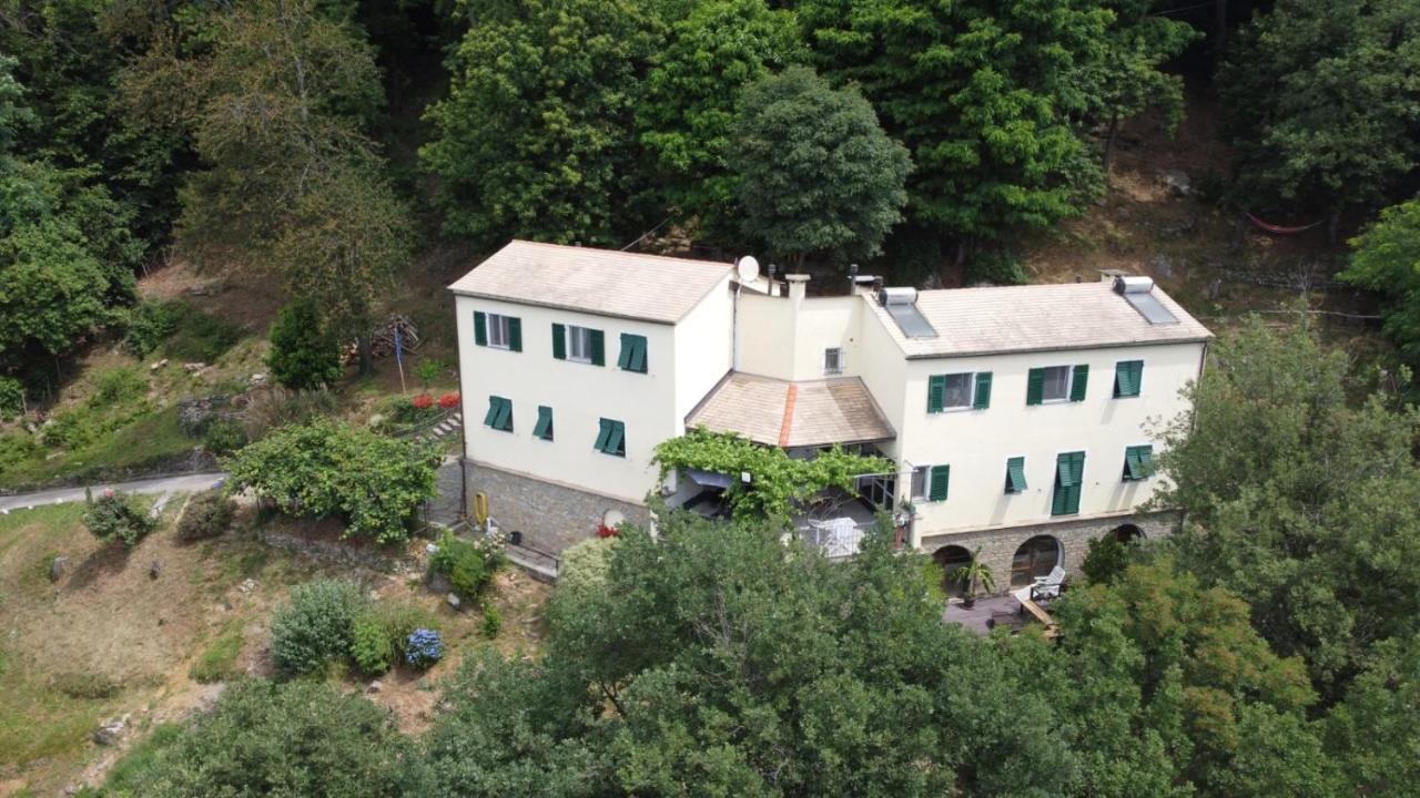 Neirone Villa Maia מראה חיצוני תמונה